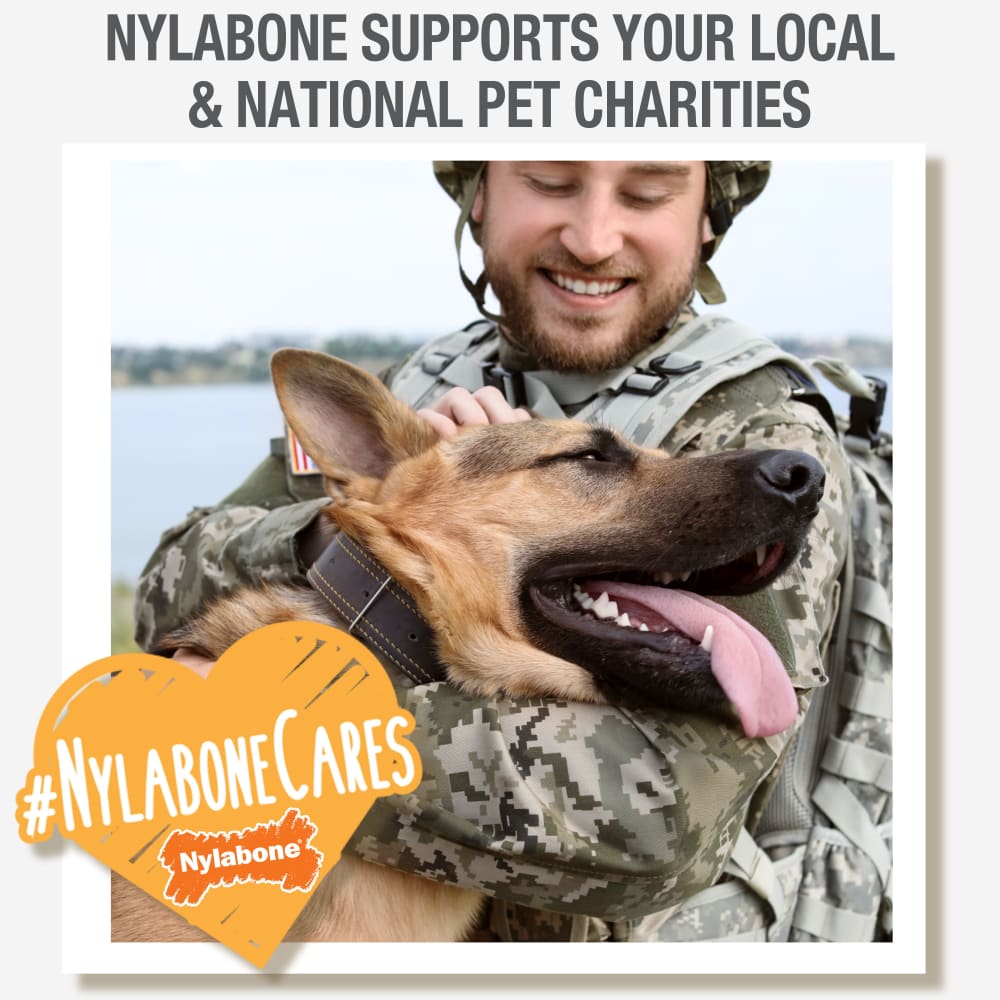18214853527-nylabone-puppy-gourmet-style-strong-chew-stick-chicken-nylabonecares