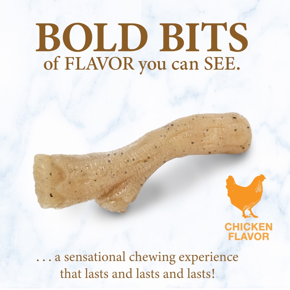 18214853527-nylabone-puppy-gourmet-style-strong-chew-stick-chicken-outofpackage
