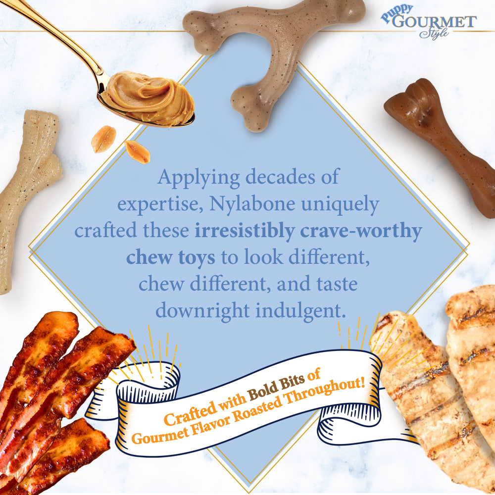 18214853510-nylabone-puppy-gourmet-style-strong-chew-wishbone-pb-brandstory