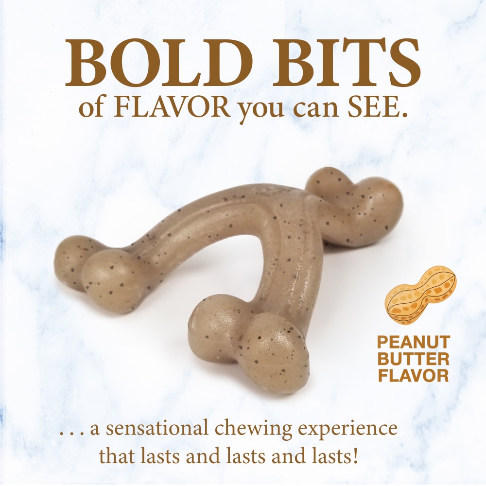 18214853510-nylabone-puppy-gourmet-style-strong-chew-wishbone-pb-outofpackage
