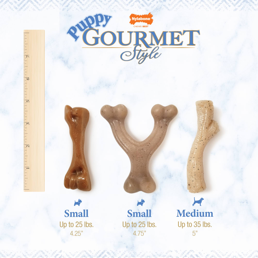 18214853510-nylabone-puppy-gourmet-style-strong-chew-wishbone-pb-sizechart