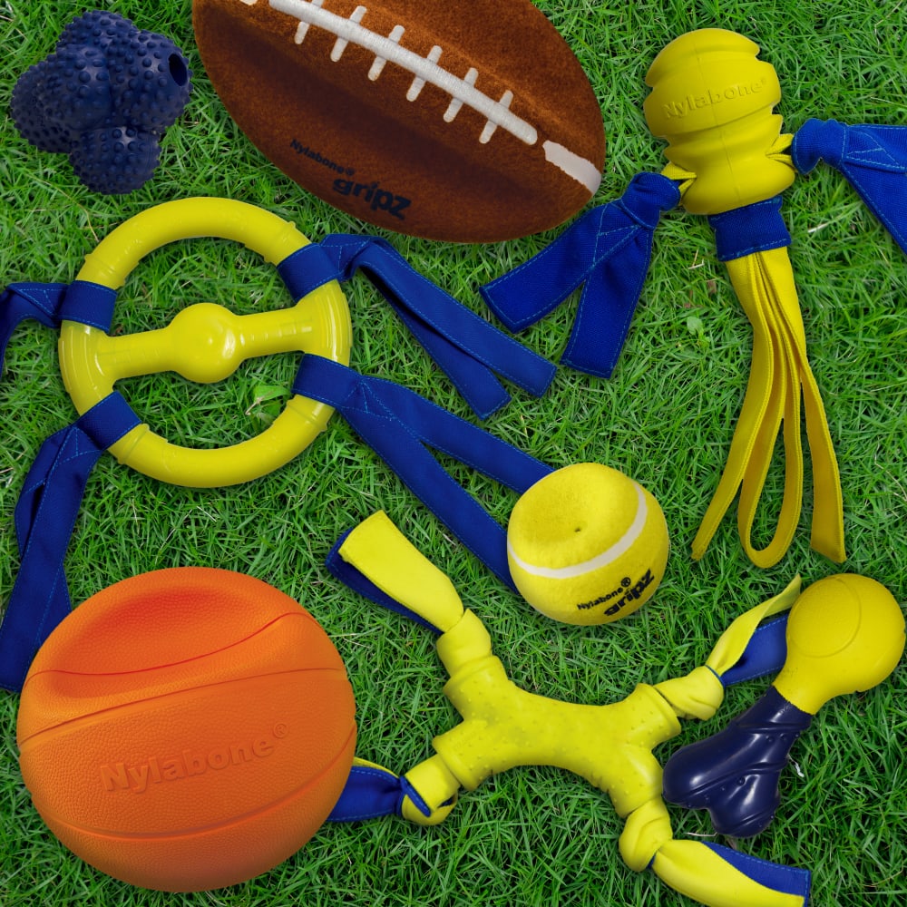 018214848684-nyla-play-gripz-b-ball-medium-altimage-unpackagedfamilyshot