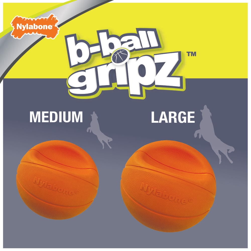 Nylabone ball hot sale