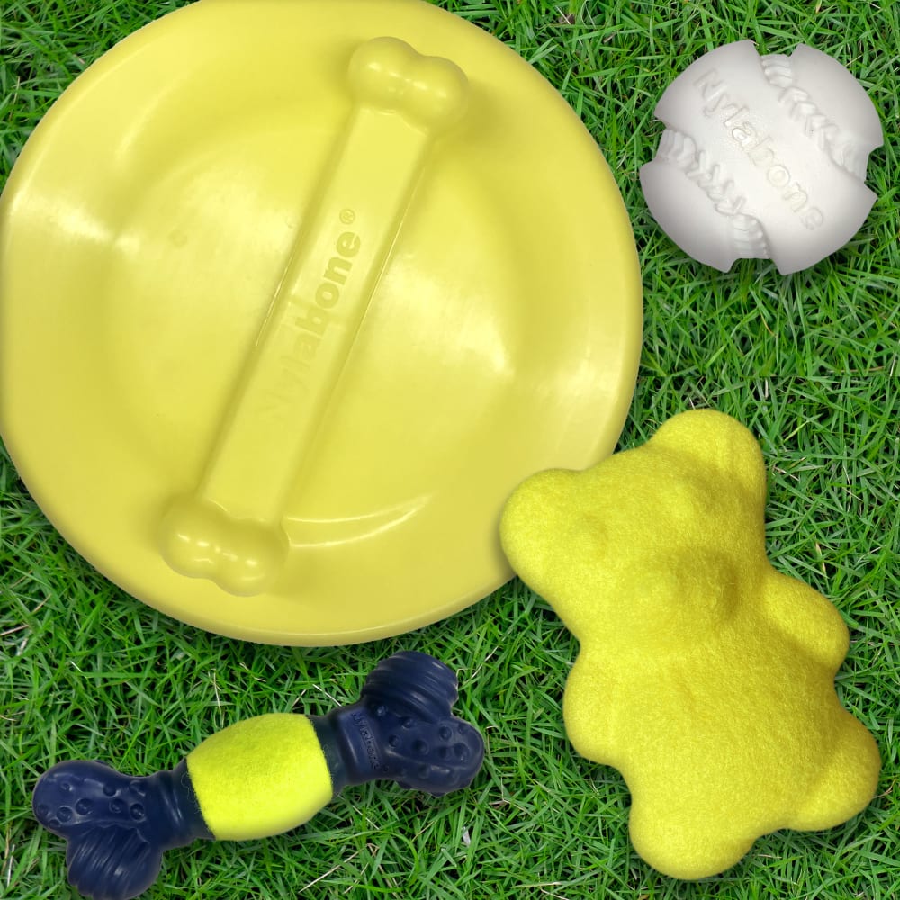 018214850830-nylabone-tennis-teddy-gripz-wolf-family