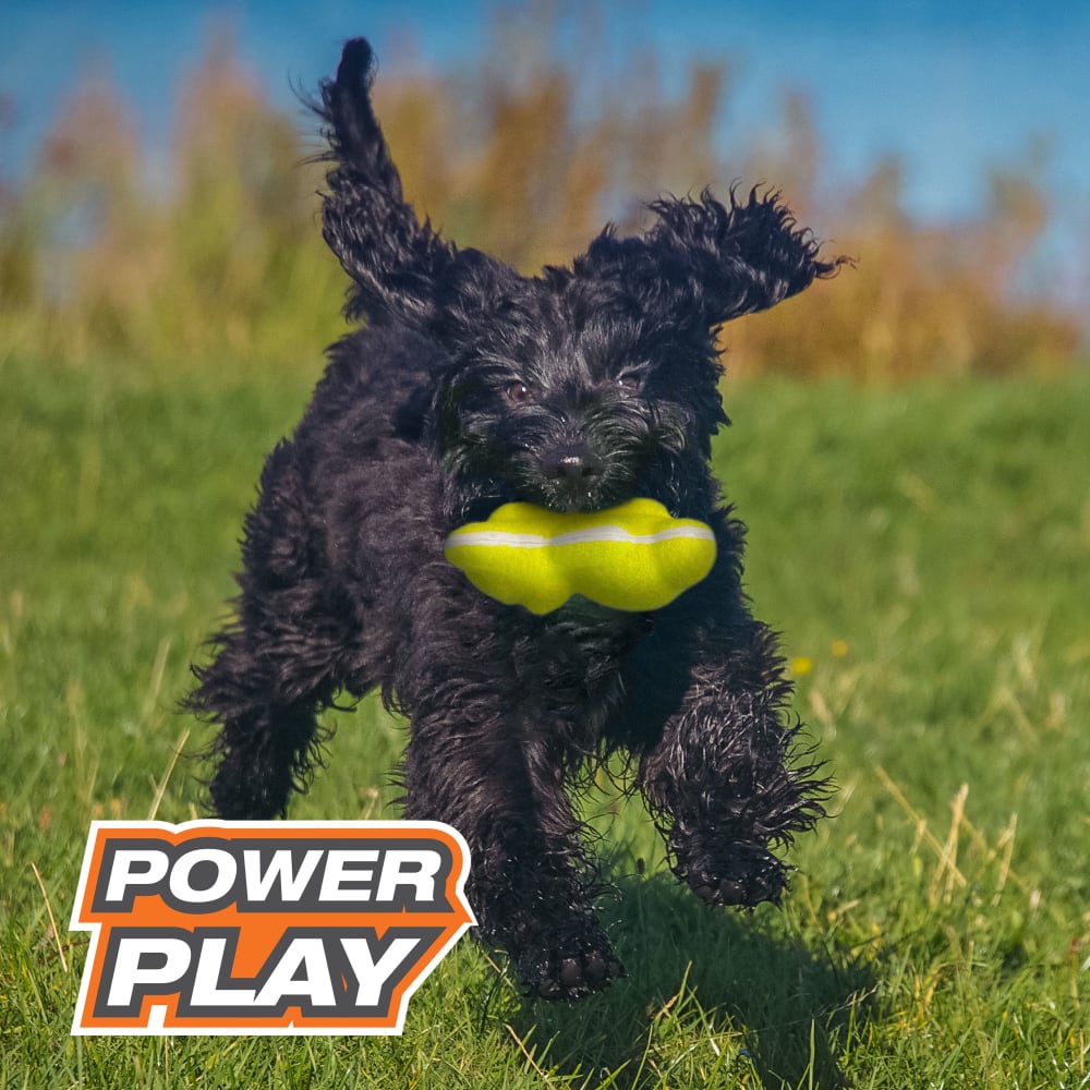 Nylabone Power Play Tennis Teddy Gripz Bear Dog Toy (Medium/Wolf - Up to 35 lbs.)