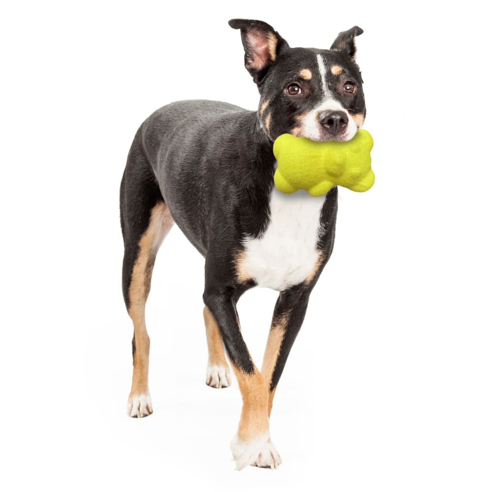 018214850830-nylabone-tennis-teddy-gripz-wolf-lifestyle2