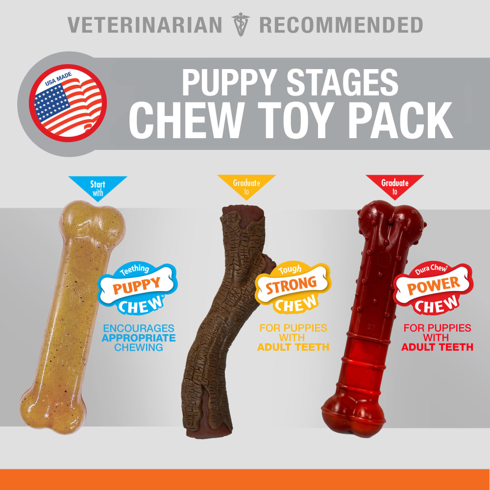 Nylabone Puppy Chew Stages Triple Pack out of packaging