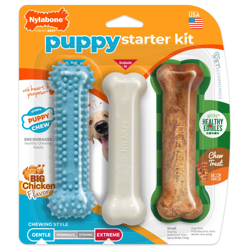 Nylabone Puppy Chew Toy