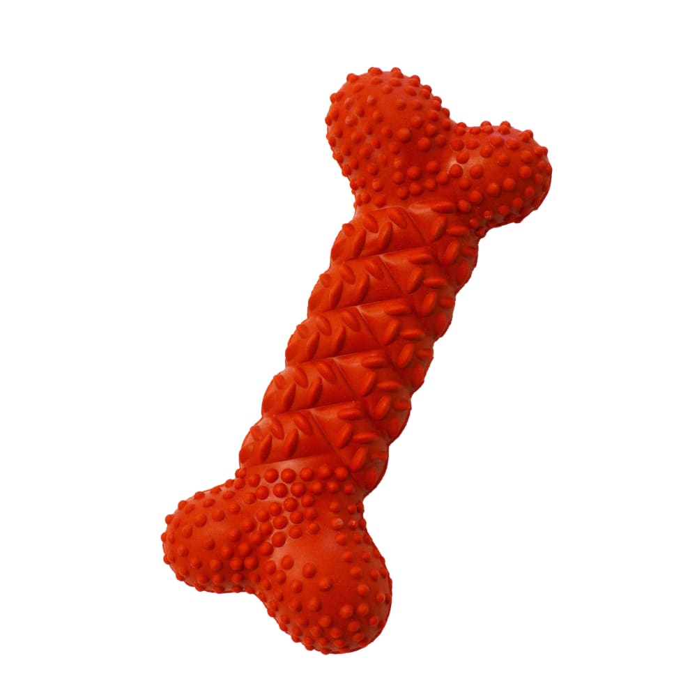 018214832157-nylabone-daily-dental-rubber-braid-bone-outofpackage-isolated