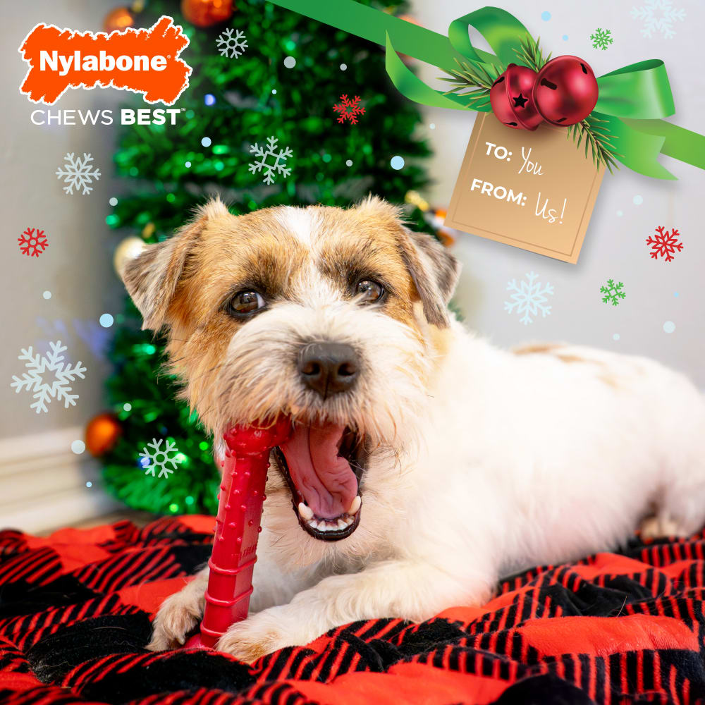 018214853558-nrbw103whr-bls