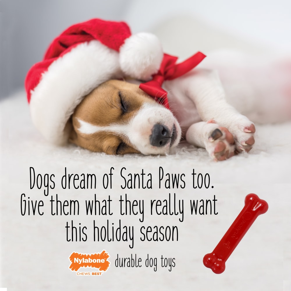 Nylabone Holiday Red Twin Pack Small brand story