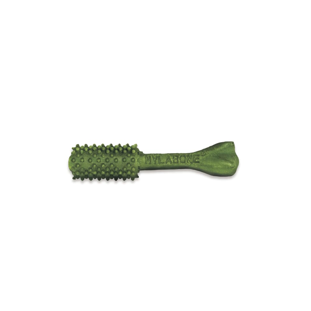 018214814436-nylabone-nutrident-natural-dental-chew-treats-front