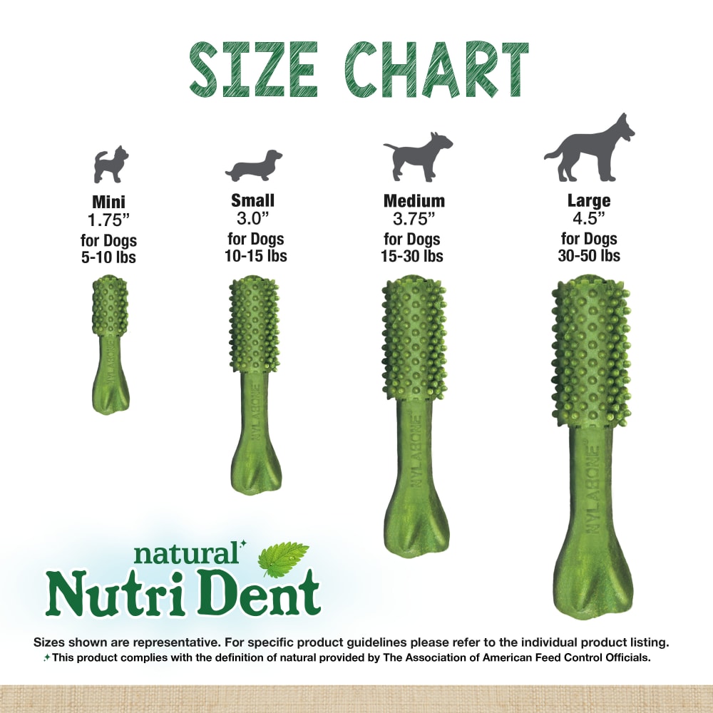 Natural nutri dent dental chew treats outlet