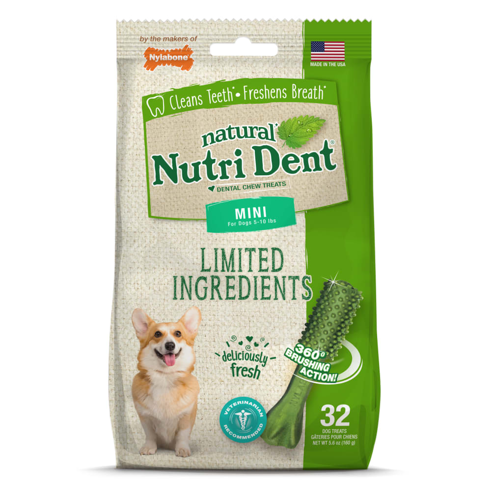 018214842644-nylabone-ntd-fresh-breath-32ct-mini-pouch-inpackagingfront