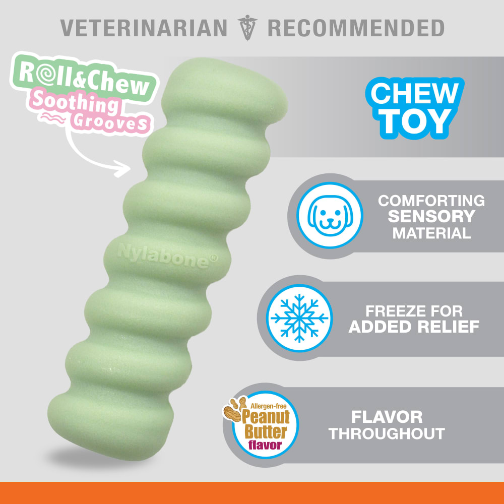 018214854579-nylabone-puppy-chew-tactile-stick-peanut-butter-outofpackage-a