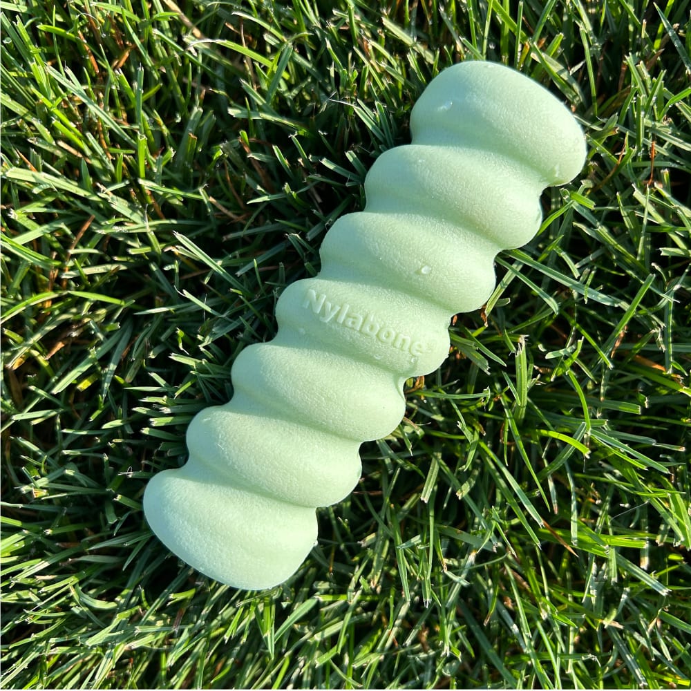 018214854579-nylabone-puppy-chew-tactile-stick-peanut-butter-outofpackage-enviornmental