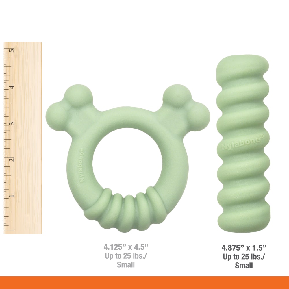 Sensory Material Puppy Teething Toys Bundle Nylabone