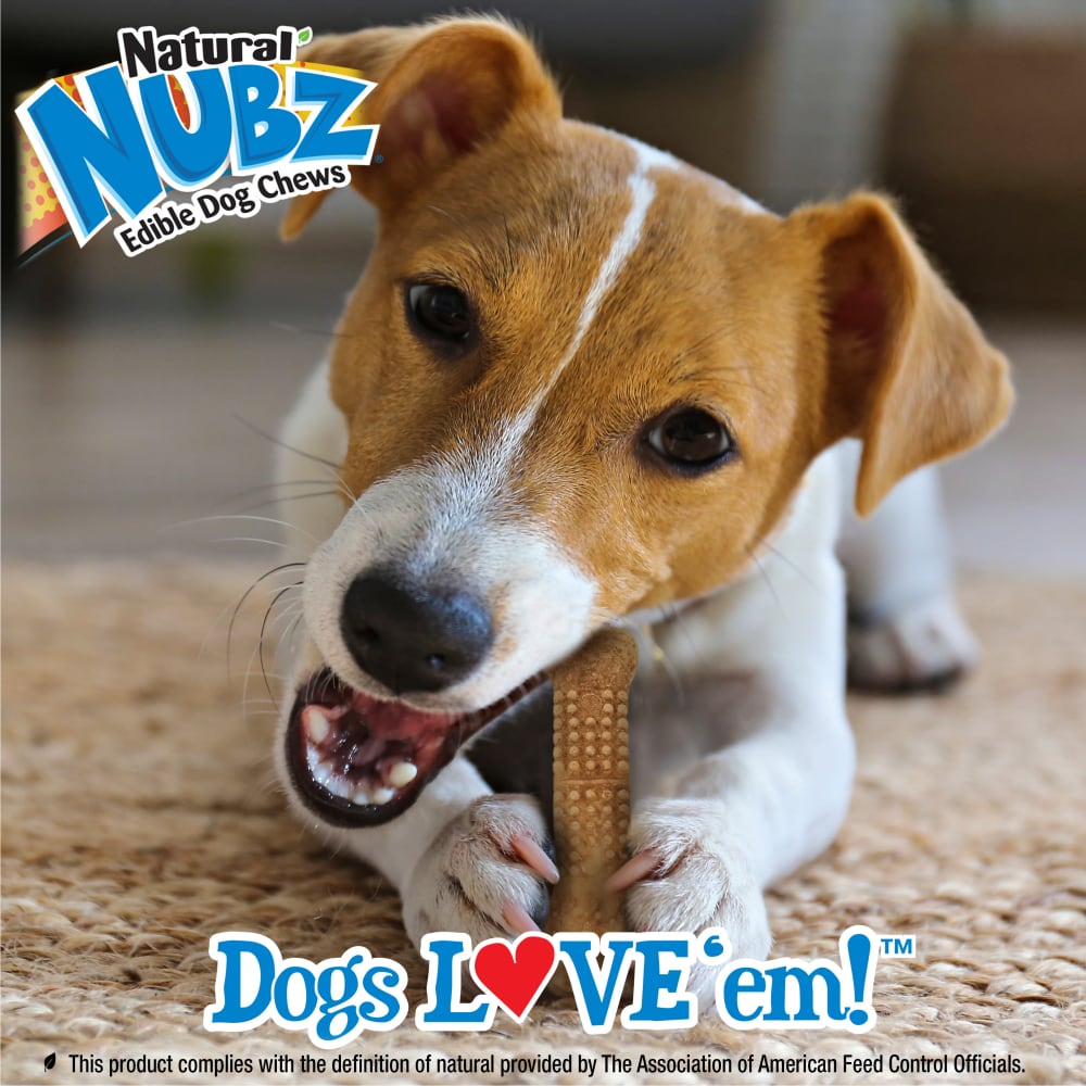 018214849391-power-chew-triple-chew-petite-lifestyle