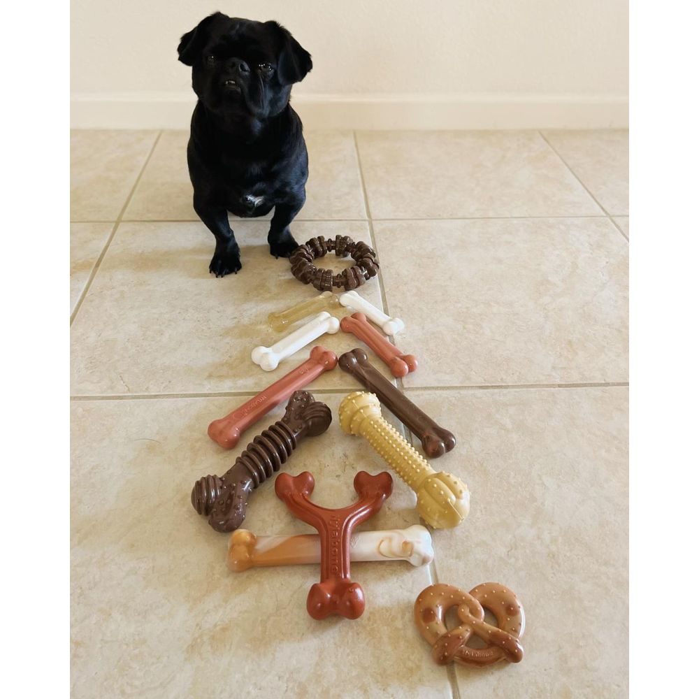 pug standing by chew toys arranged as tree - approved if we edit out pretzel