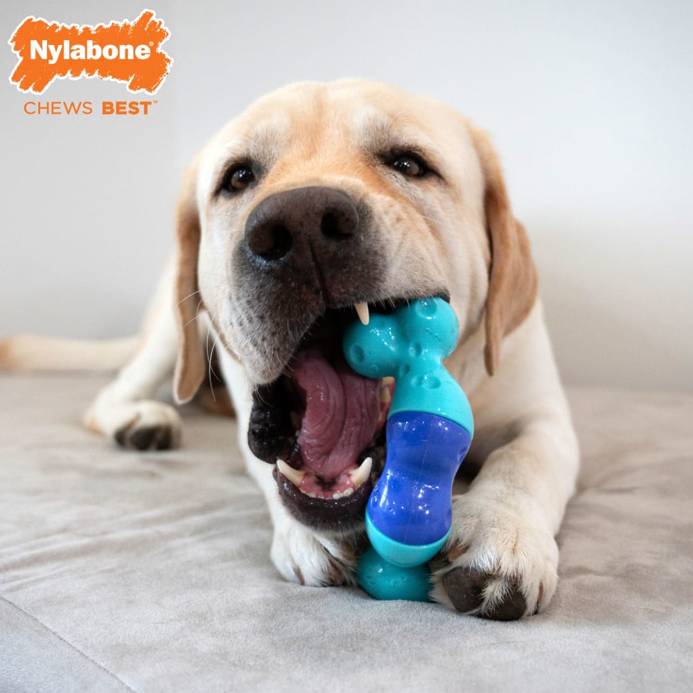 Branded lifestyle graphic for Nylabone Power Chew Twist N Chew Puzzle Toy Phase2