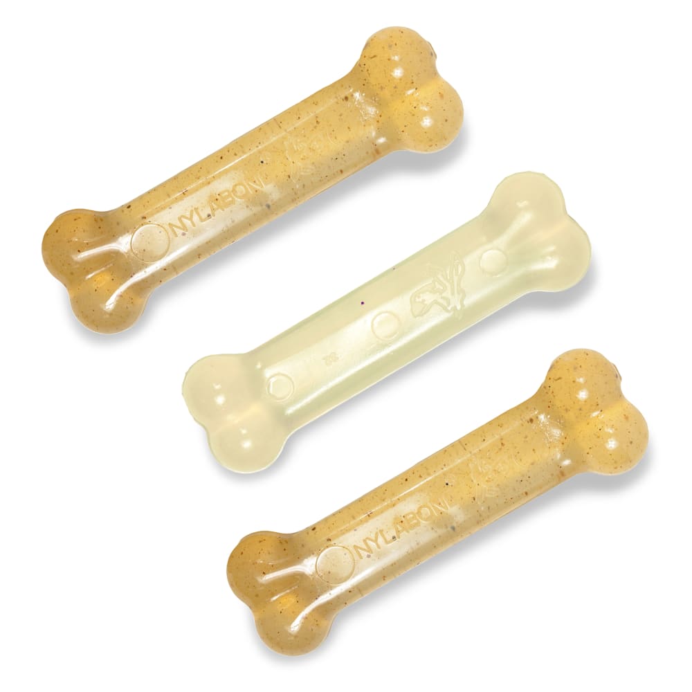 018214813507-nylabone-flexichew-bone-dog-chew-toy-outofboxfront