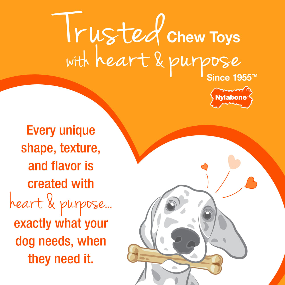 nylabone-brand-story-fy25