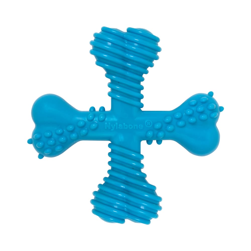 018214837701-nylabone-durachew-x-bne-small-outofboxfront