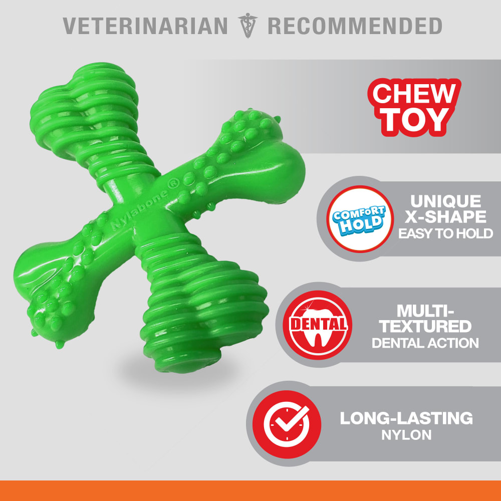 Nylabone Power Chew Holiday X Bone Reg Green out of packaging