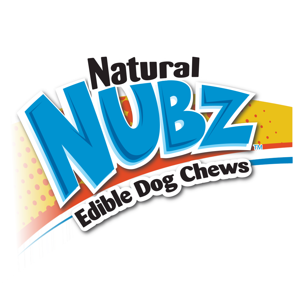 Nylabone Brands Dog Chew Toy & Treat Brands Nylabone