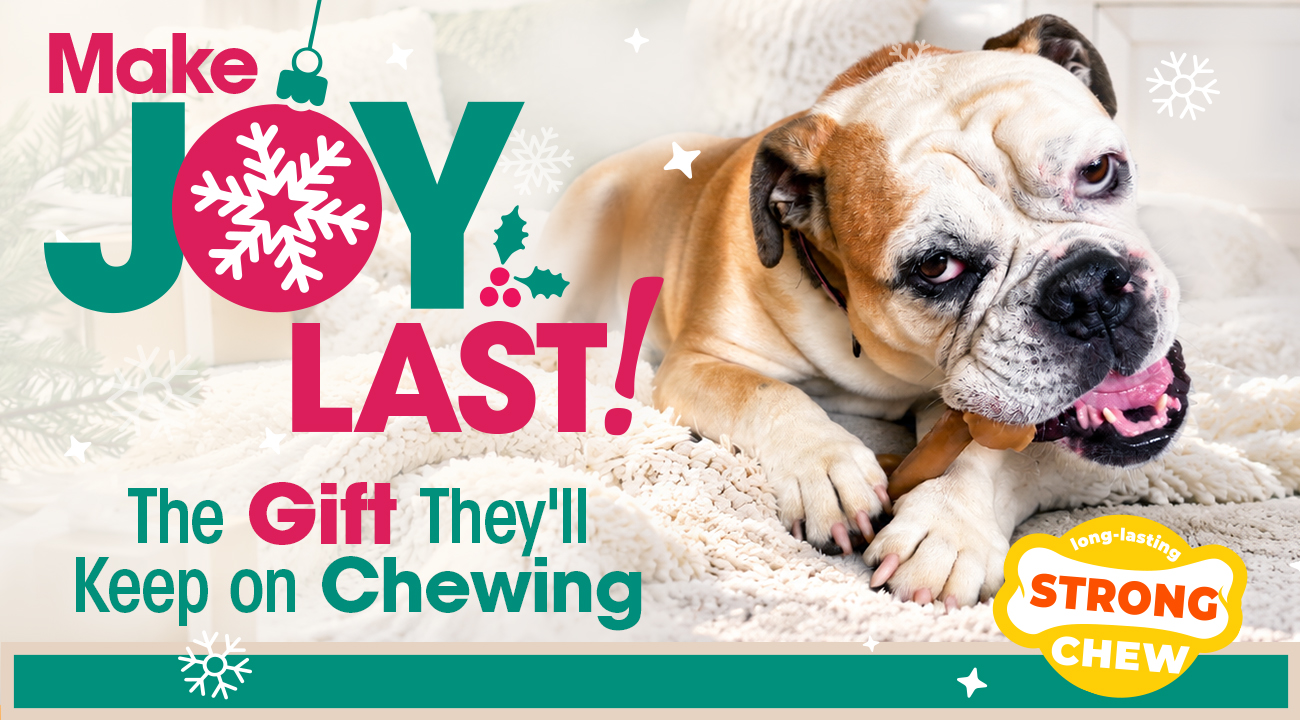 Nylabone Long-Lasting Strong Chew toy. Make Joy Last! A bulldog chews a brown chew toy on a plush white blanket