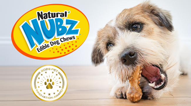 small dog chewing on Nubz edible chew treat