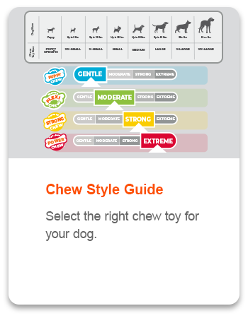 chew_style_guide