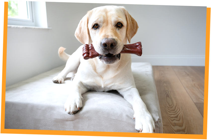 WEBSITE-NB-FY25-HP-WN_840x560