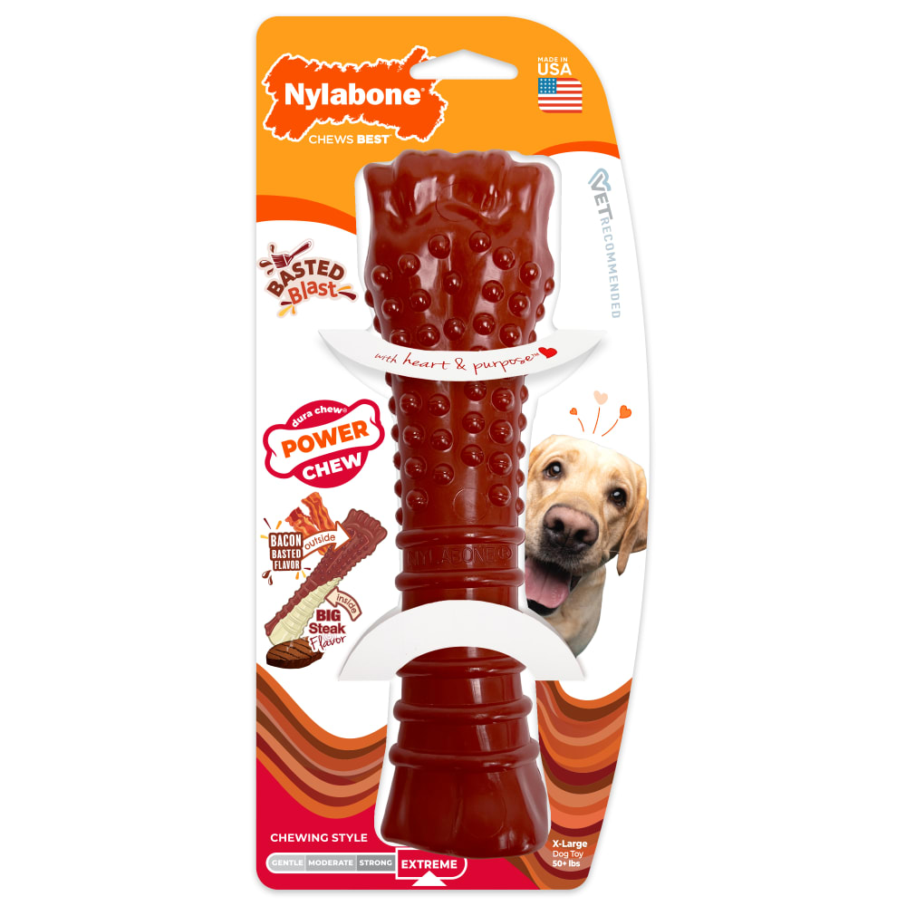 Power Chew Basted Blast Textured Bone Chew Toy | Nylabone
