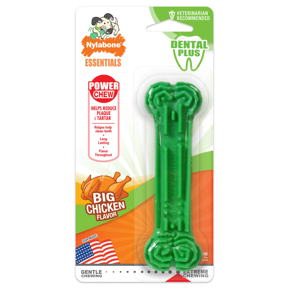 Daily Dental Chicken Power Chew Toy | Nylabone