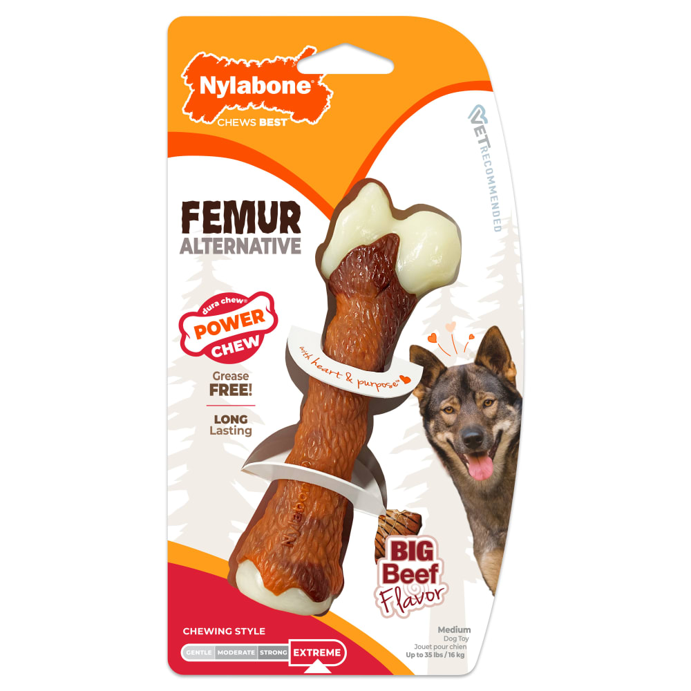 Power Chew Femur Dog Bone Alternative | Nylabone