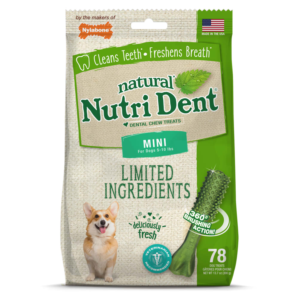 Nutri Dent Fresh Breath Dog Dental Chews | Nylabone