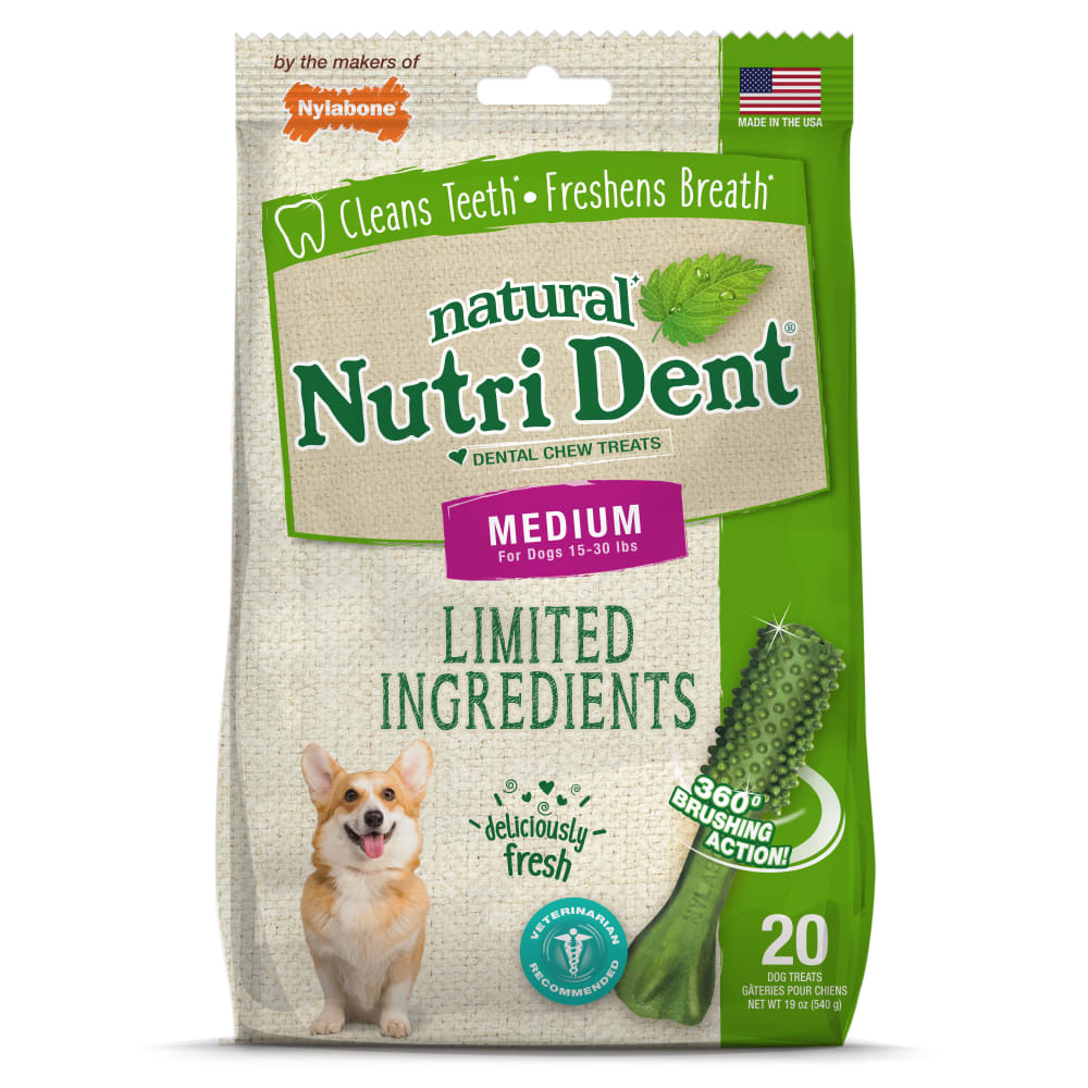 Nutri Dent Fresh Breath Dog Dental Chews | Nylabone