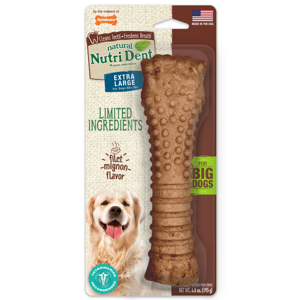 Nutri Dent Filet Mignon Dog Dental Chews Nylabone